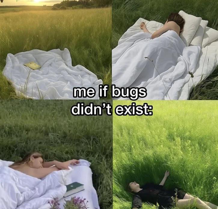 Life Without Bugs: A Developer's Fantasy