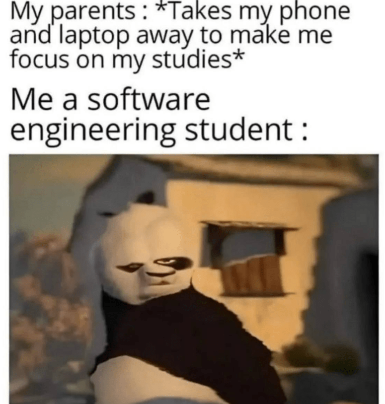 When Parents Don't Understand Software Engineering