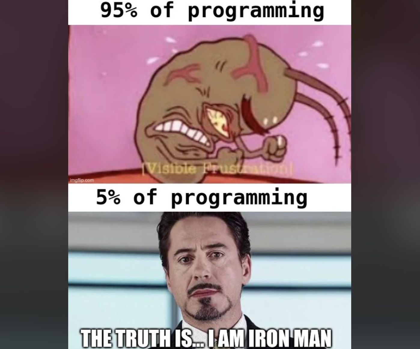 The Duality Of Developer Existence