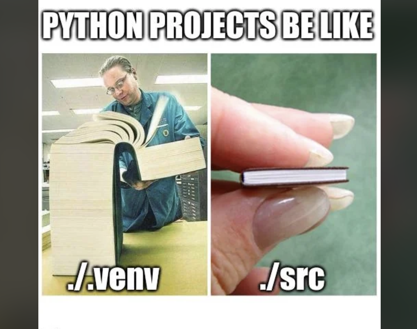 Python Projects Be Like
