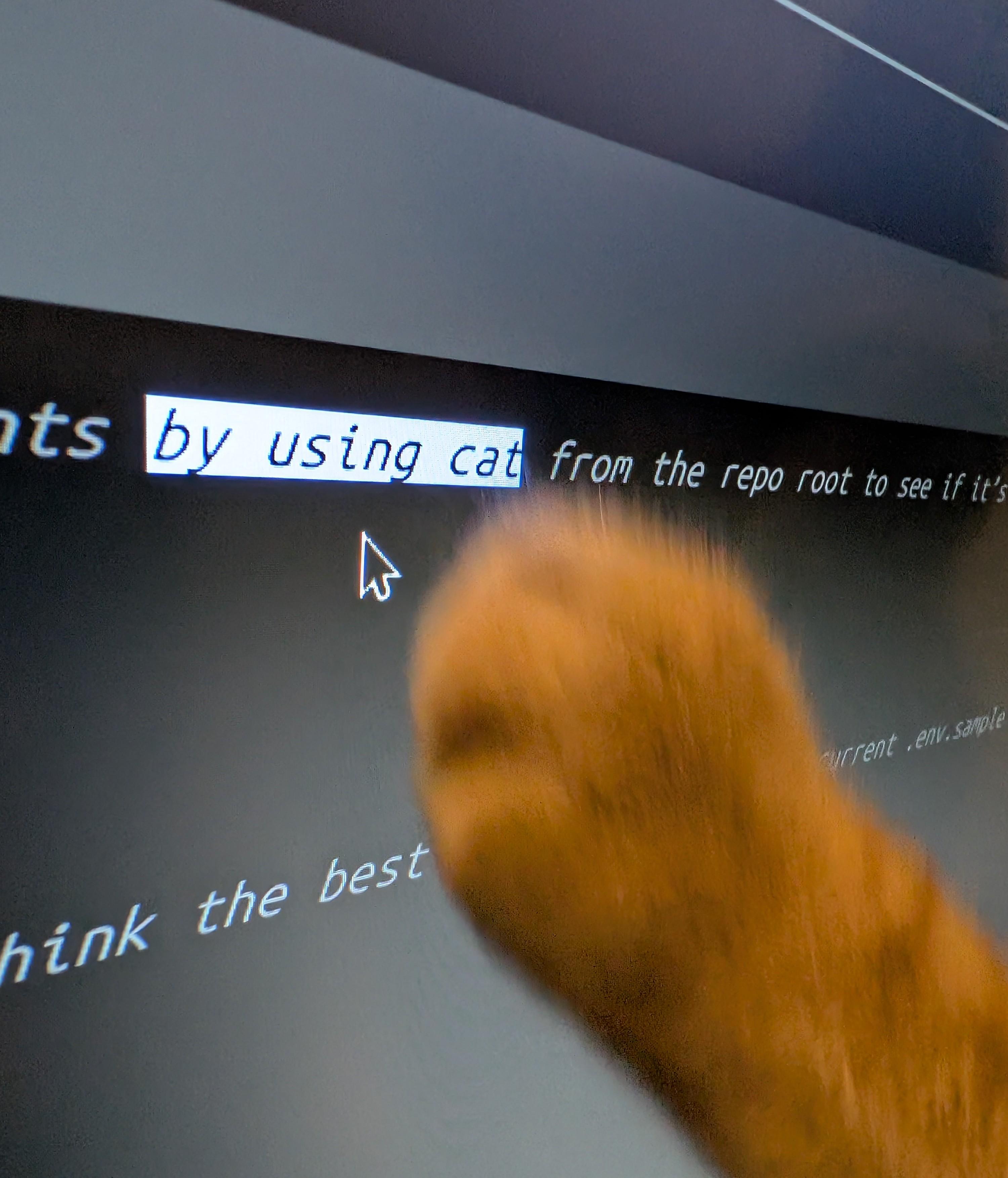 The Feline Code Reviewer