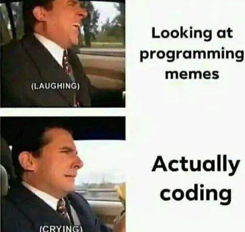 The Duality Of Developer Existence