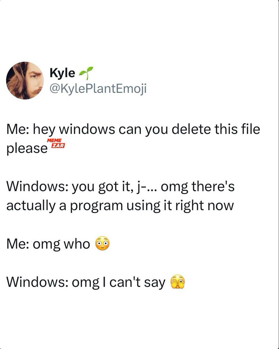 The File Deletion Witness Protection Program