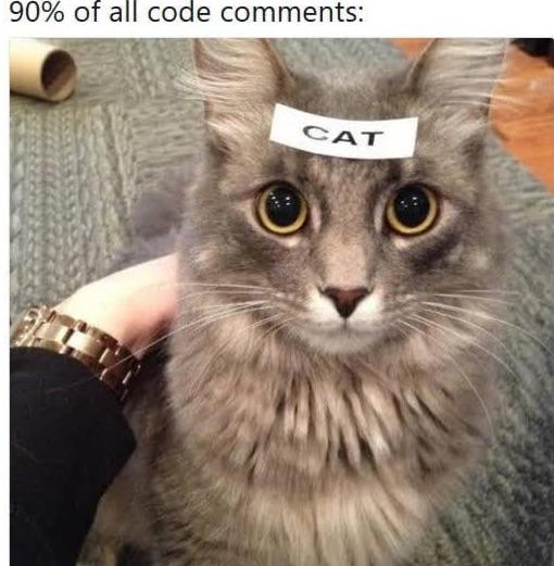 Captain Obvious: The Code Commenter