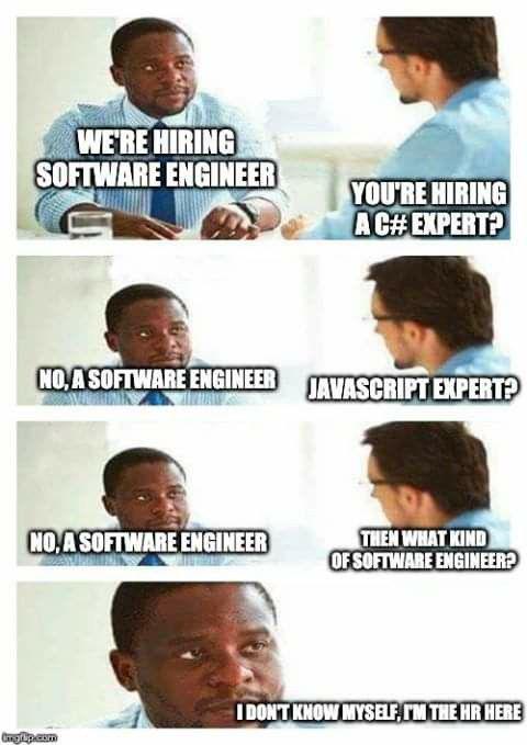 The HR Gatekeeper's Technical Expertise