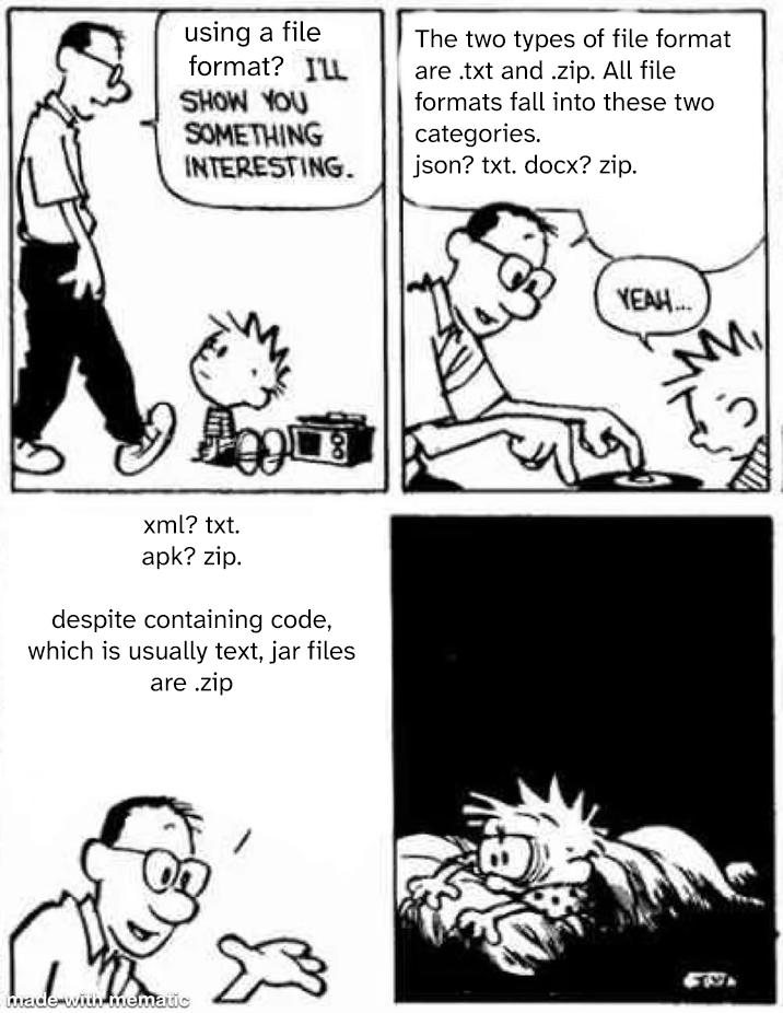 The Two Types Of File Format Are Txt And Zip
