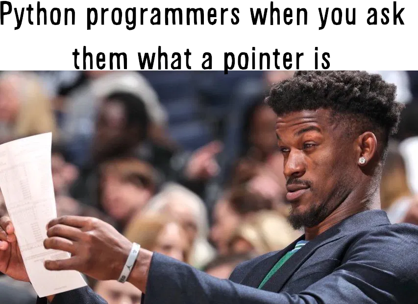 Python Programmers Confronting Pointer Reality