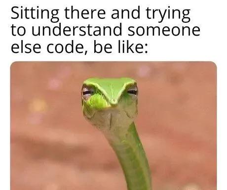 Also Me Trying To Understand My Own Code