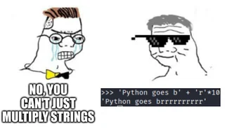 Python Goes BRRRRRRRRRR