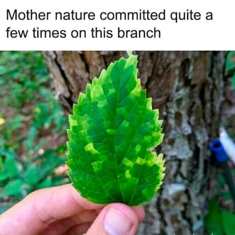 Mother Nature's Version Control