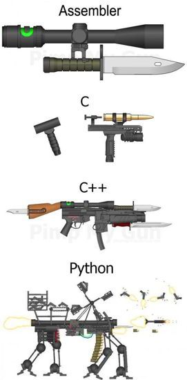 Weapons Of Mass Development