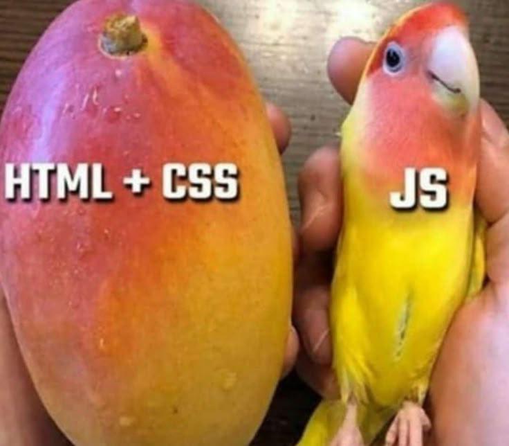The Web Development Food Chain