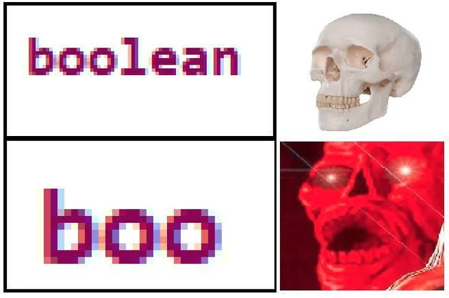 Boolean Vs. Boo-lean: A Programmer's Nightmare