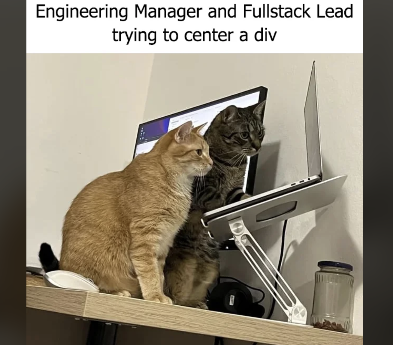 Engineering Manager And Fullstack Lead Trying To Center A Div