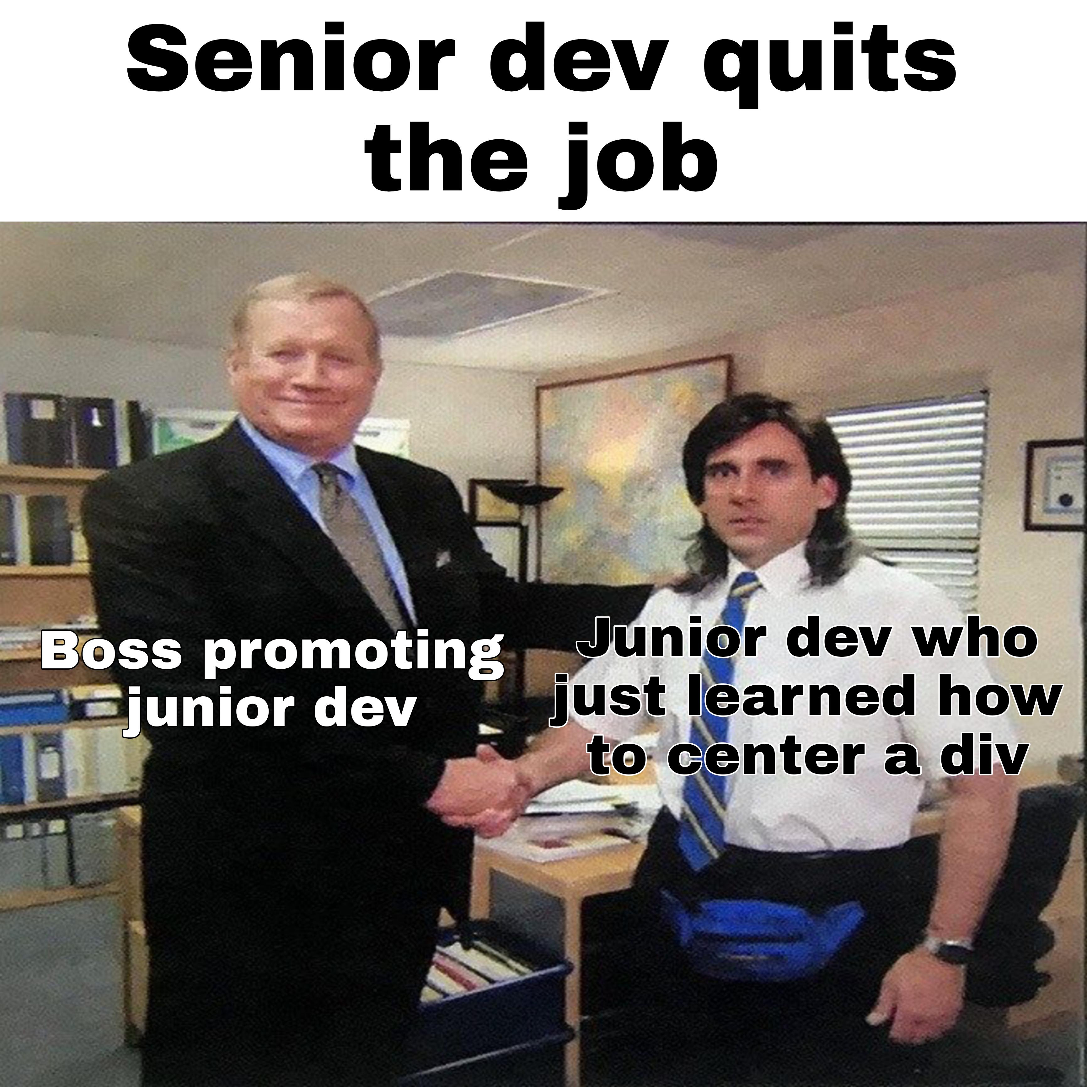 Senior Dev Quits, Junior Dev Promoted To Disaster