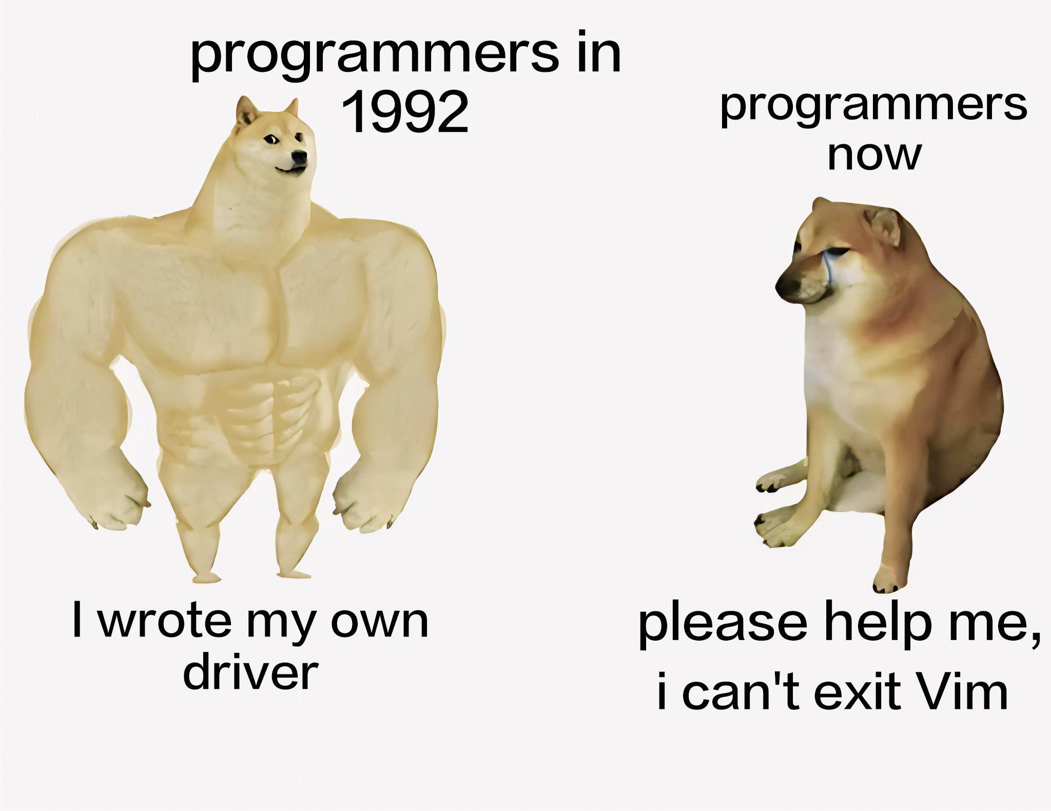 The Great Developer Devolution