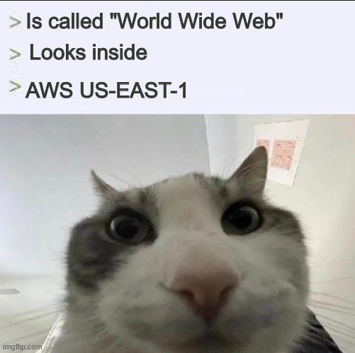 They Lied To Me About The World Wide Web