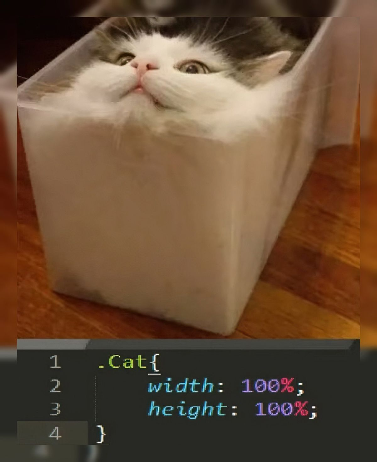.Cat Div Finally Responsive