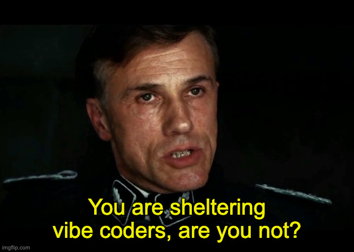 You Are Sheltering Vibe Coders