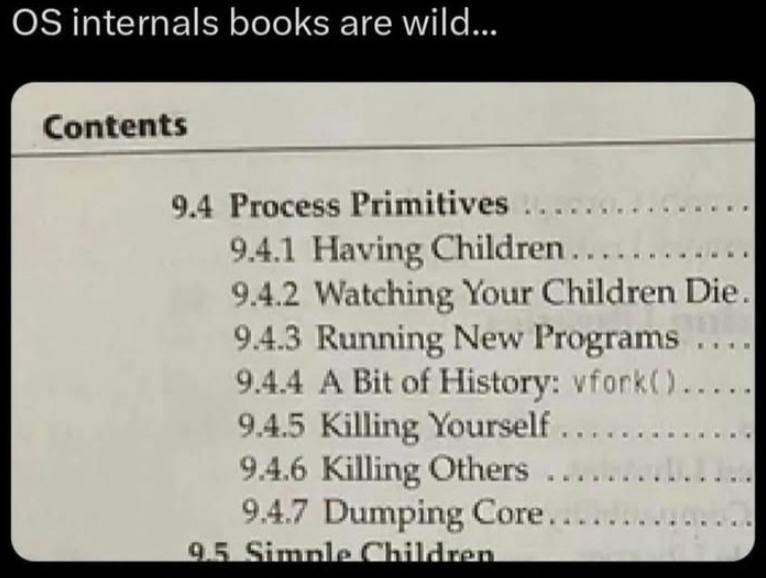 OS Internals Books Are Wild