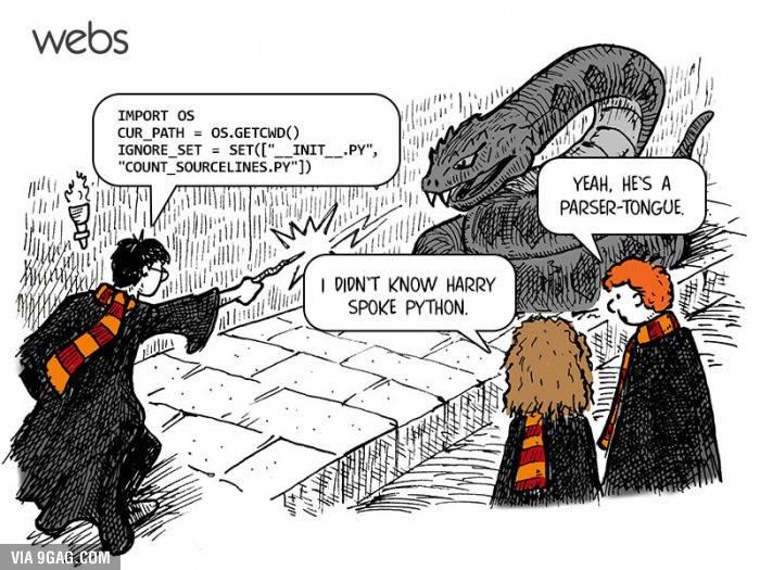 Python Kedavra: When Wizards Write Code