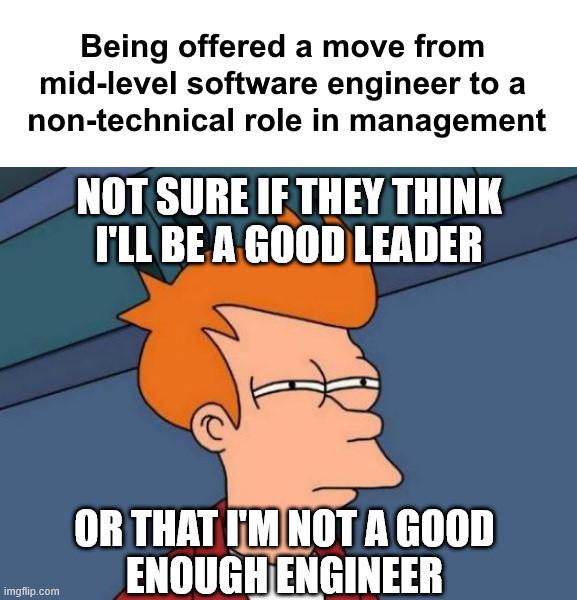 The Programmer's Promotion Paradox