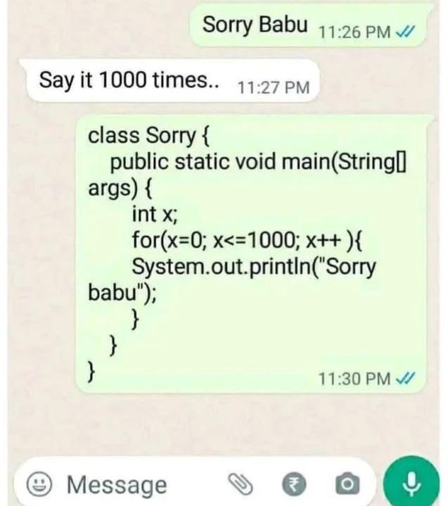 When You Ask A Programmer To Apologize