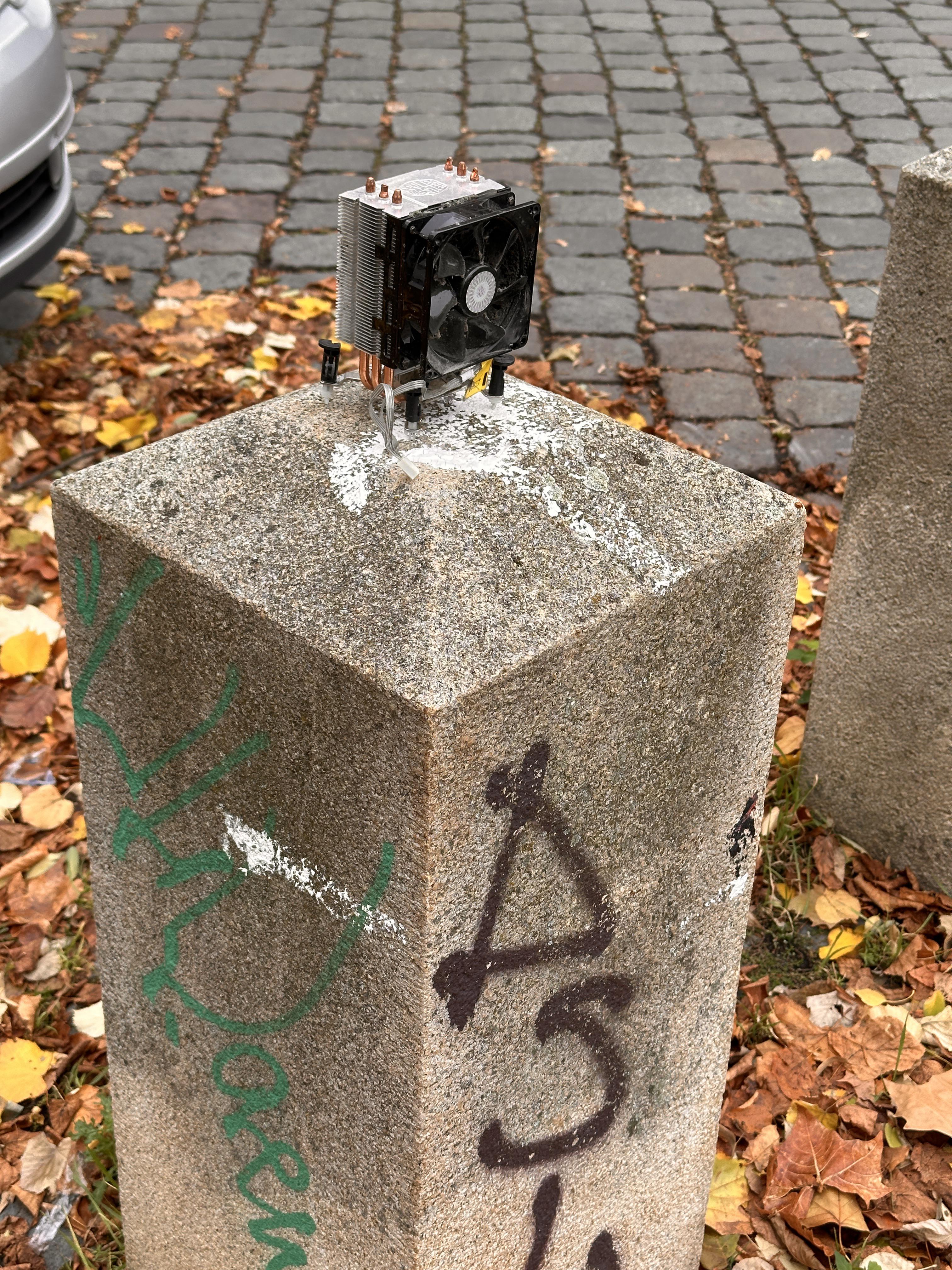 Found This In The Wild In Berlin