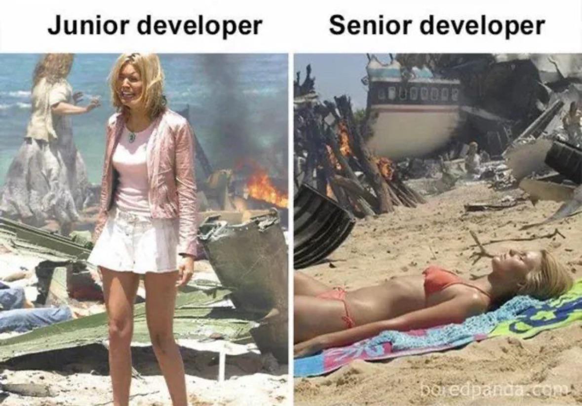 Junior Vs Senior Dev