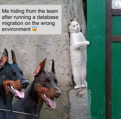 Me Hiding From Team After DB Change