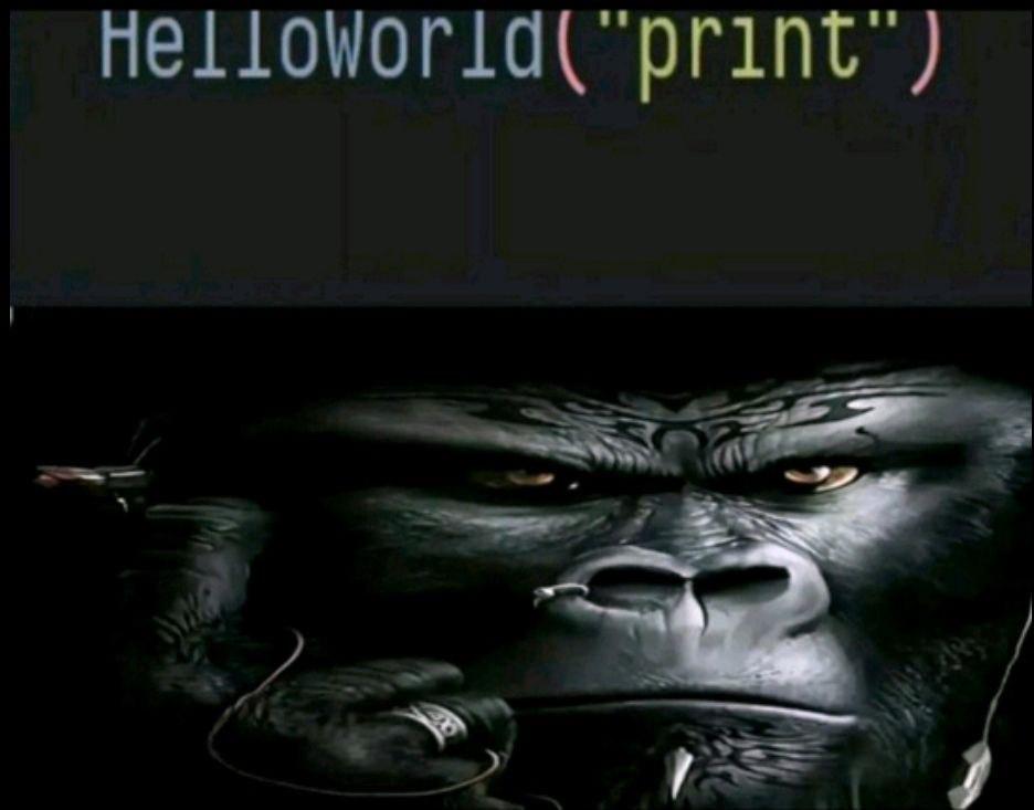 Random Meme About My Coding Skills