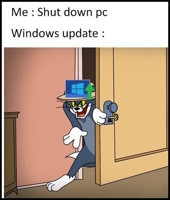 The Perfect Timing Of Windows Updates