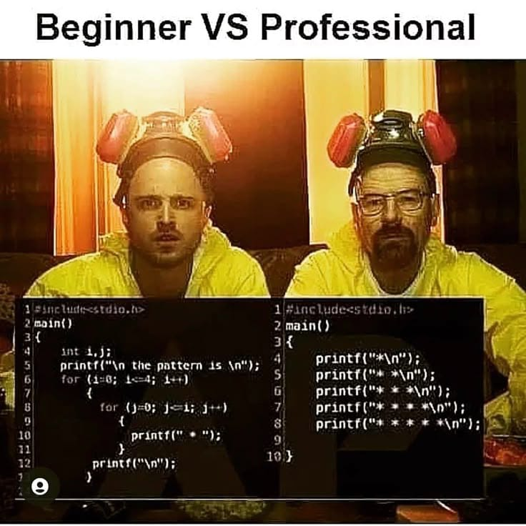 Beginner Vs Professional