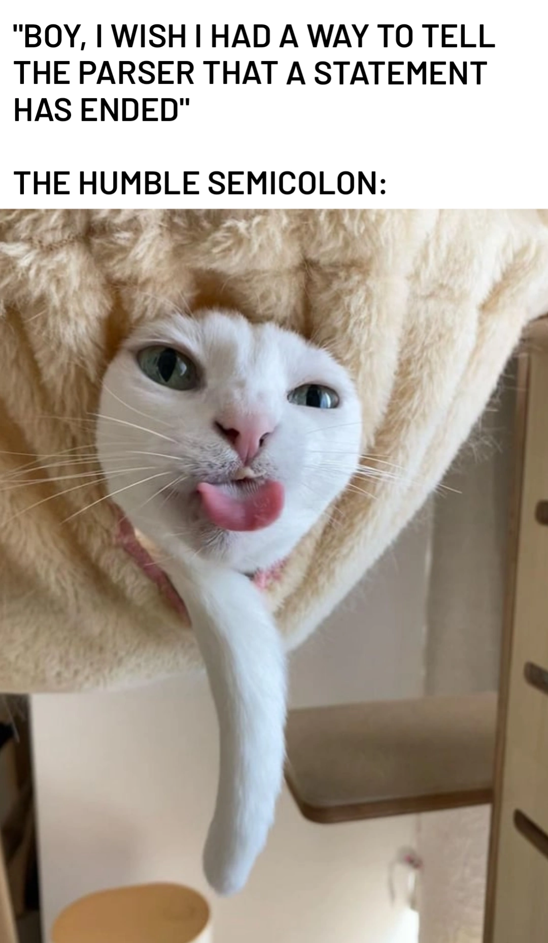 The Humble Semicolon: Your Code's Unsung Hero