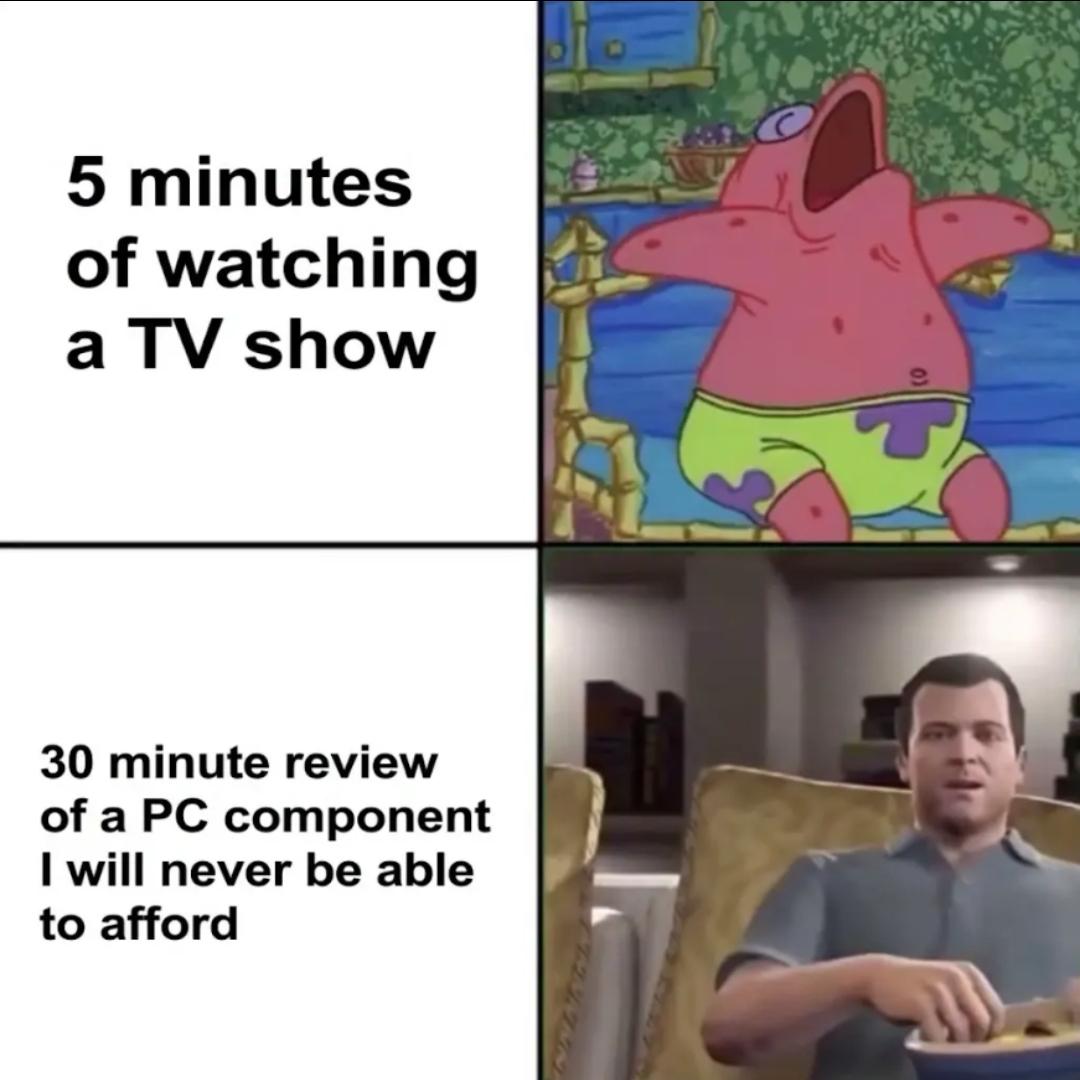 I Would Watch Them For Hours!!