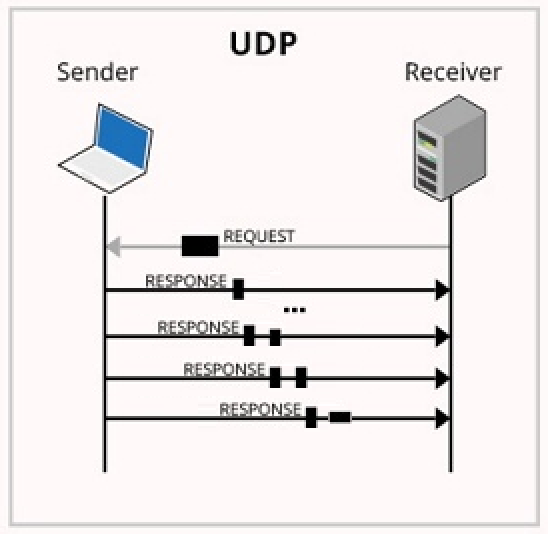 Not Received Or Not Delivered