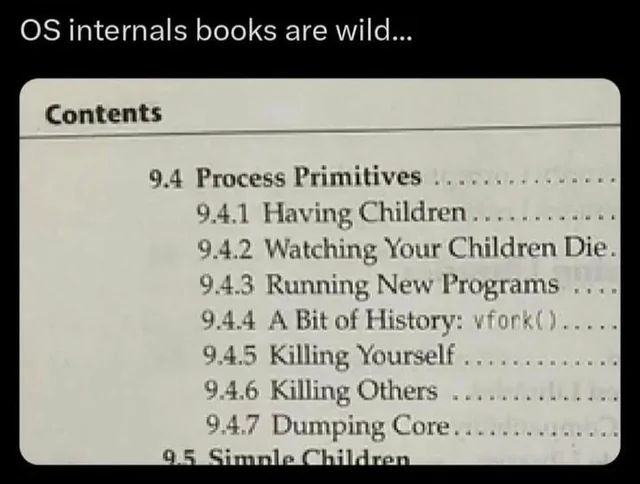 OS Internals Books Are Wild