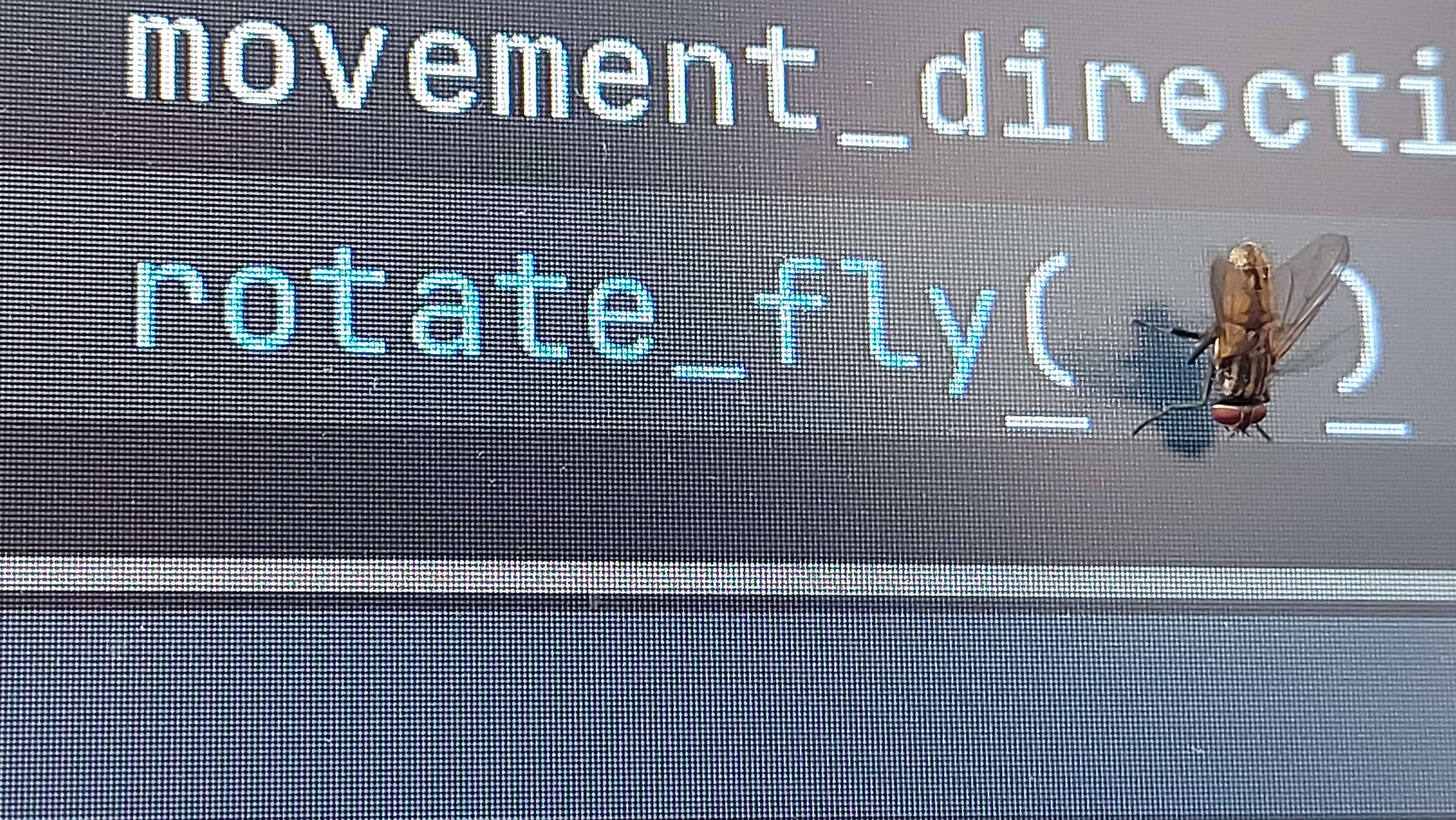 How Do I Fix This Bug?