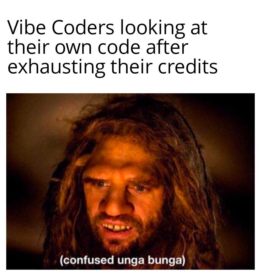 Vibe Coders Looking At Their Own Code