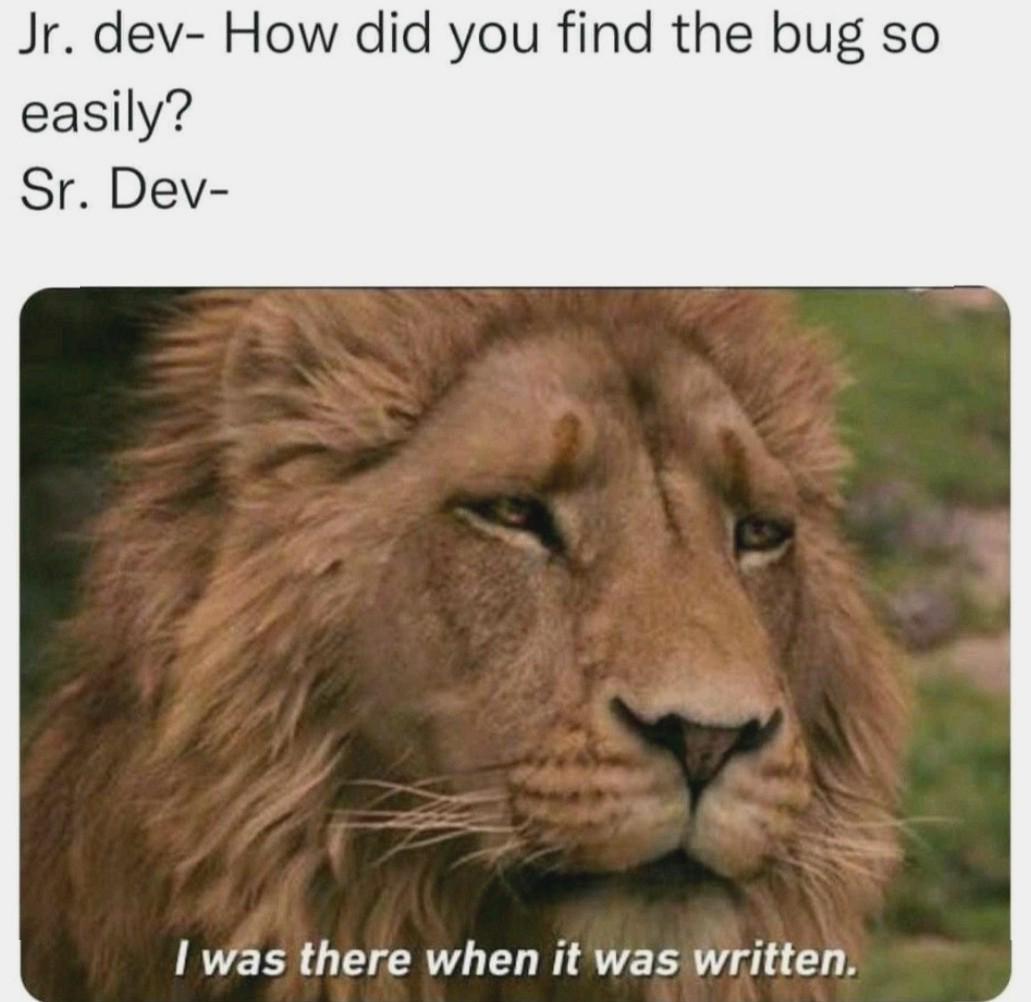 Perks Of Being A Señor Engineer