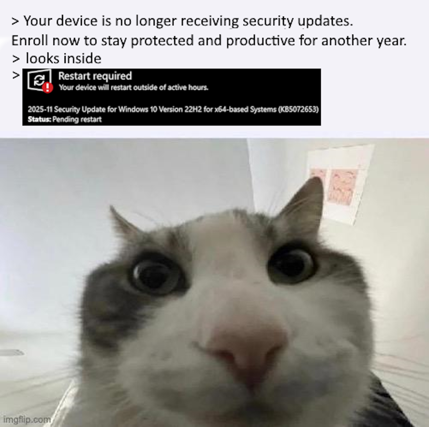 Time-Traveling Windows Updates