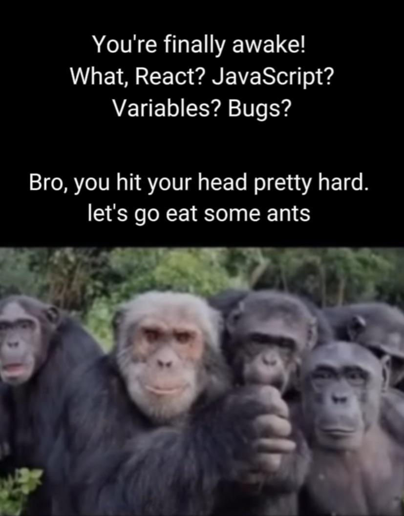 Let's Go Back To Monke