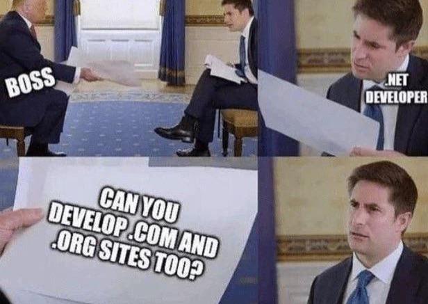 When Your Boss Thinks Domains Are Programming Languages