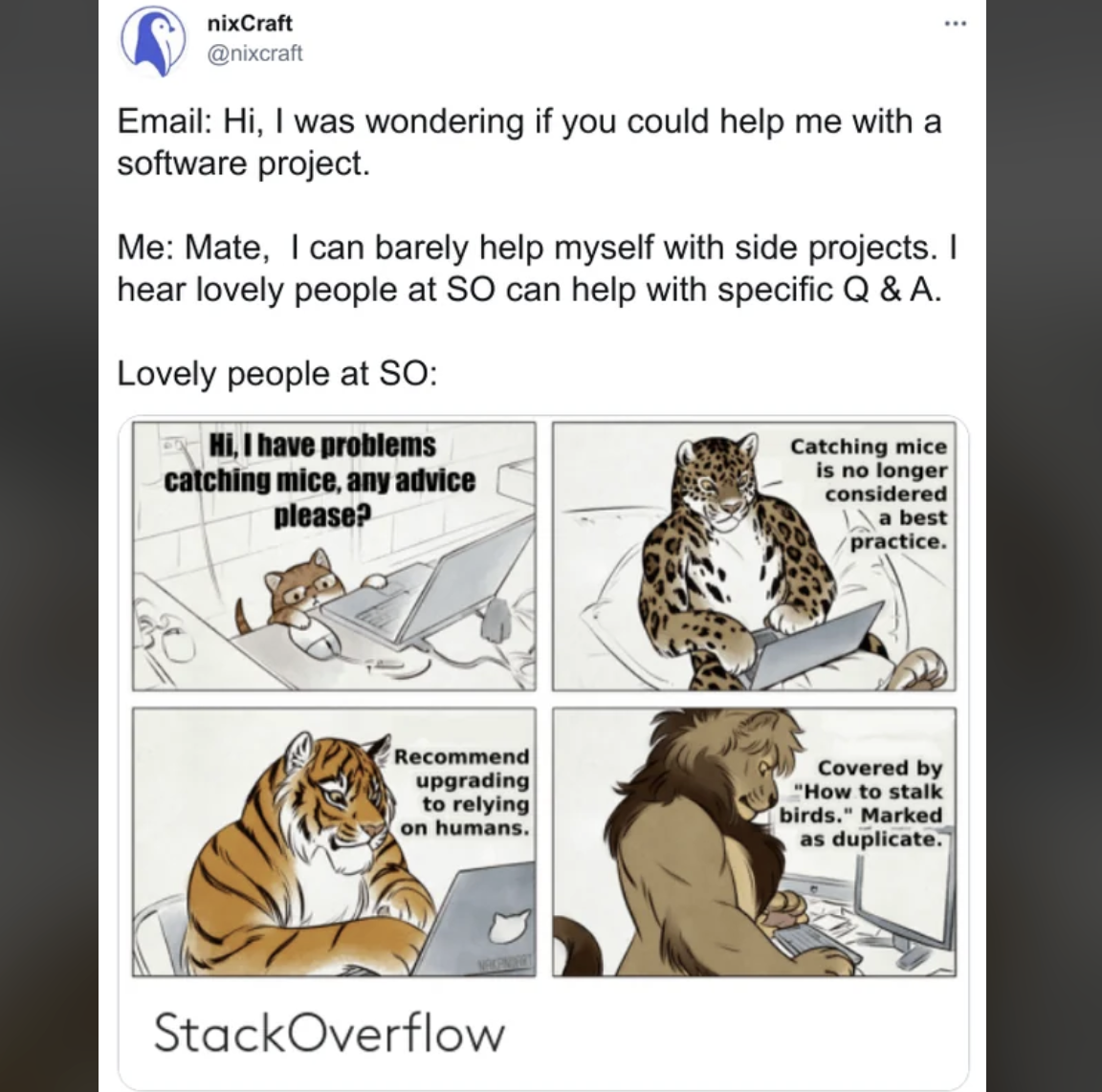 Getting Help With A Software Project