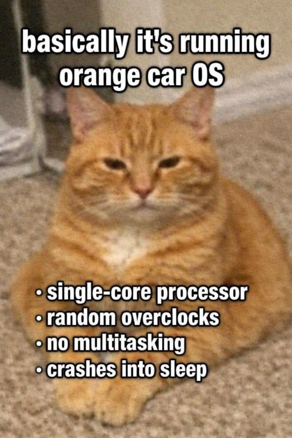 I Had To Guys I Had To