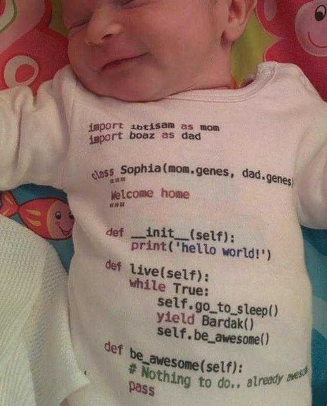 Typical Child In The Life Of A Programmer