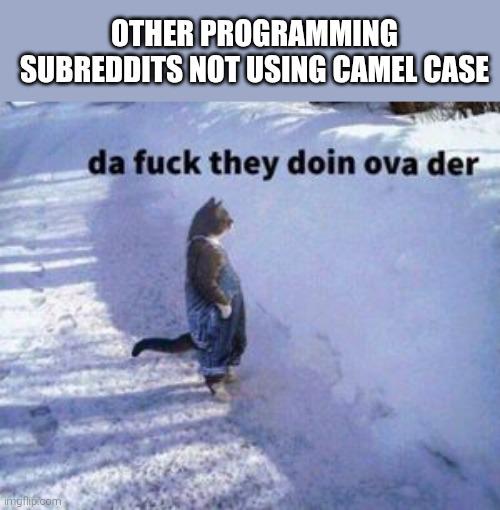 Imagine Not Using Camel Case