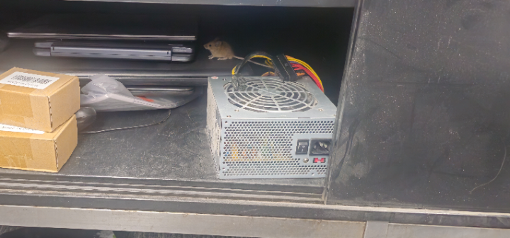 I Don't Usually Keep Mice In This Drawer