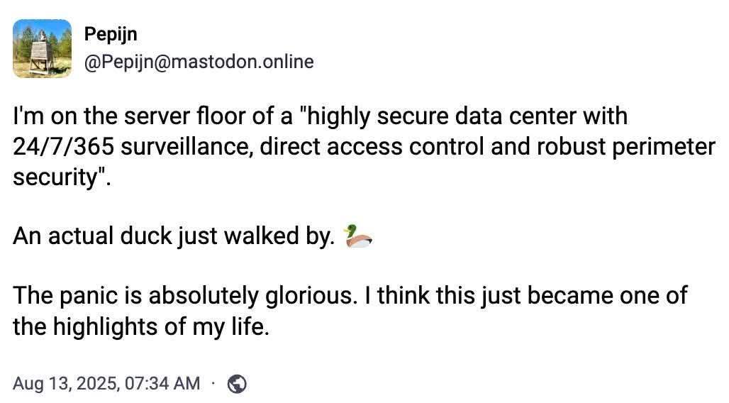 Meanwhile At Duck Duck Go