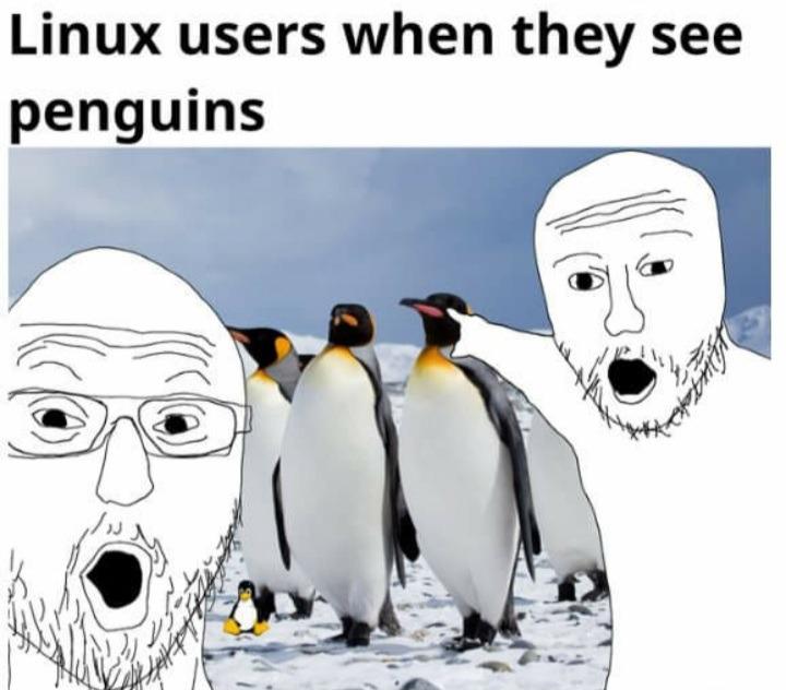 Linux Users When Penguin